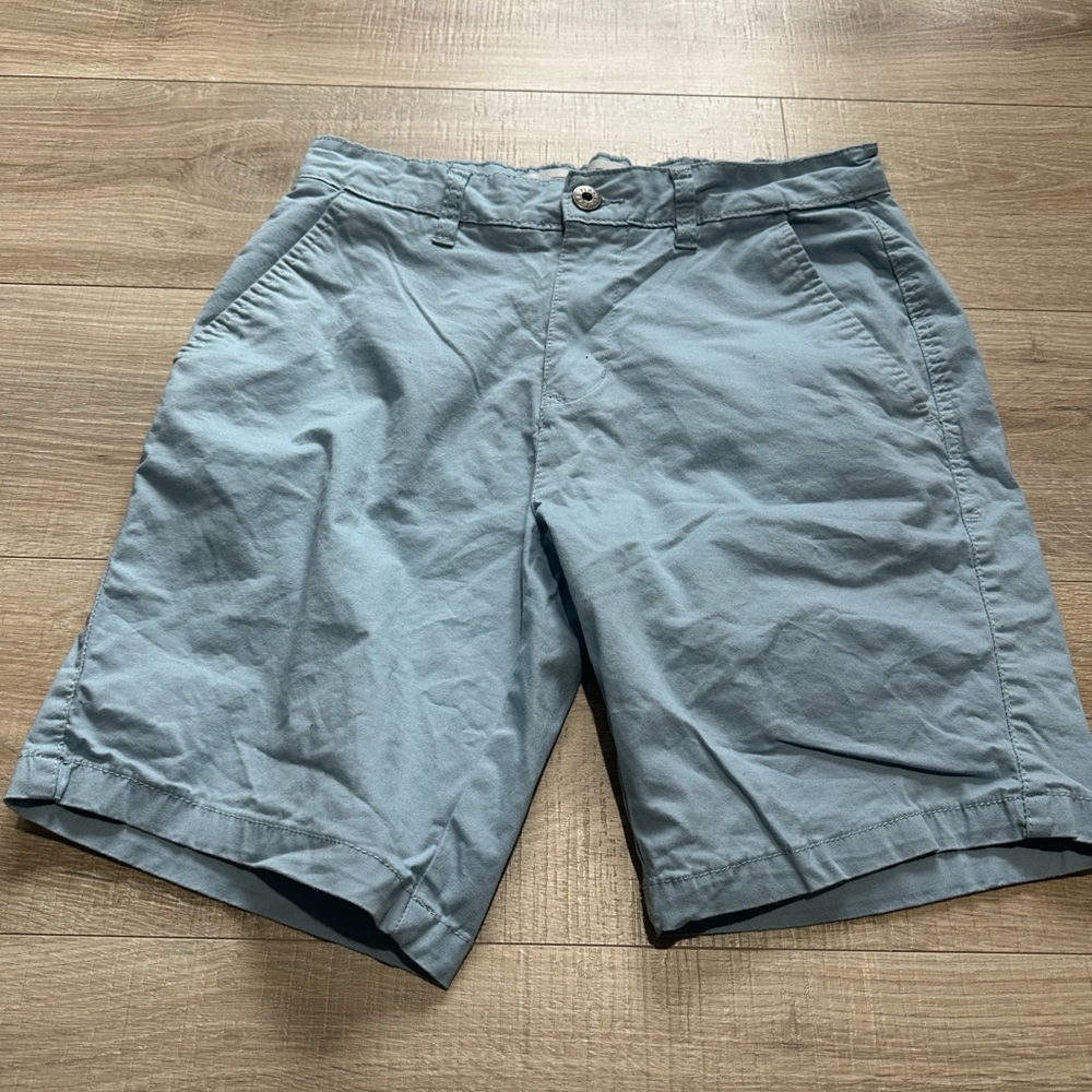 Free Planet Light Blue Flat Front Shorts stretch size 28
